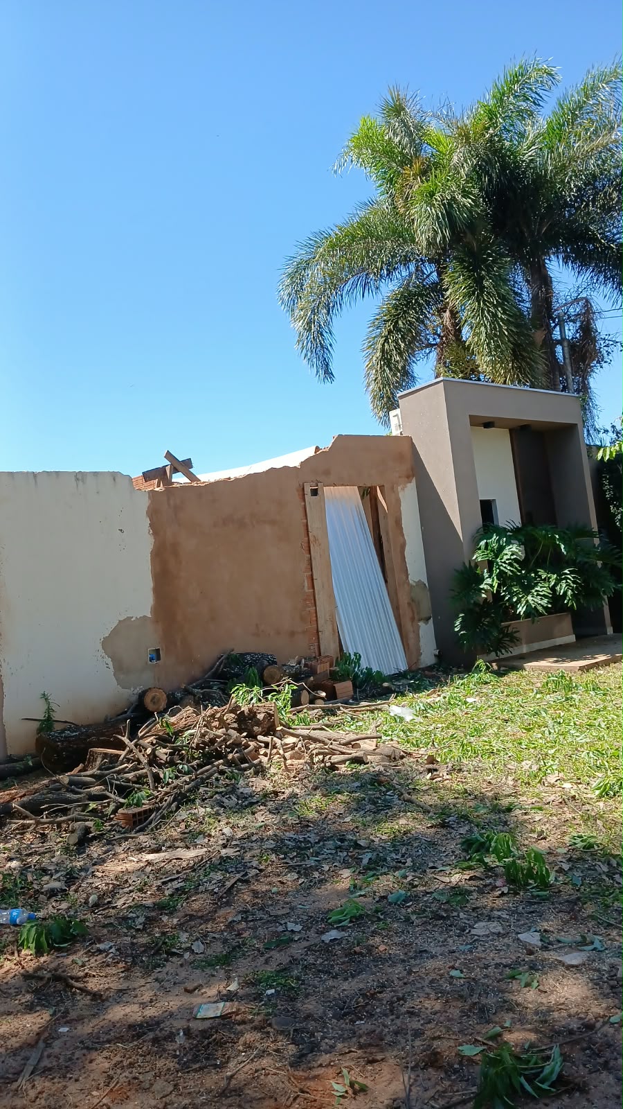 Depois da poda: muro preservado e árvore removida com segurança